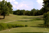 Cypress Bend #2