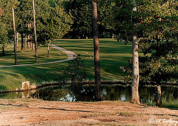 Cypress Bend #9