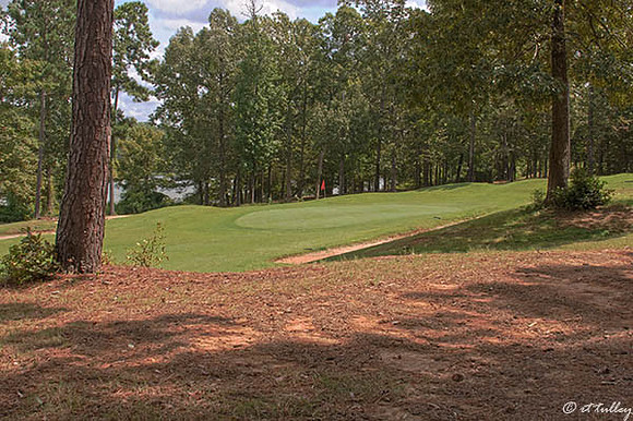 Cypress Bend #10