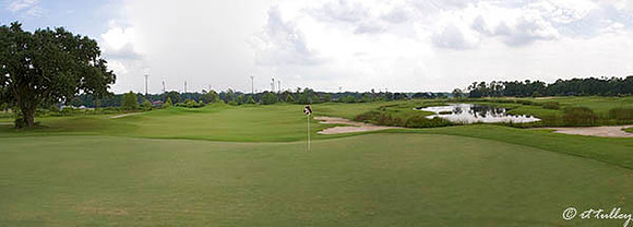Atchafalaya #14 Panorama