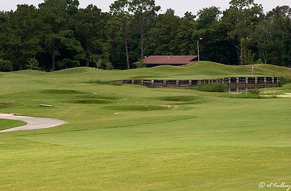 Atchafalaya #13