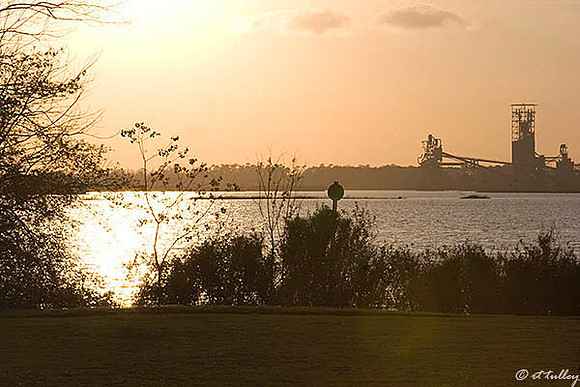 Gray Plantation Calcassieu Waterway