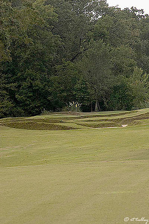 Tamahka Trails #8