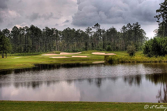 Gray Plantation #13