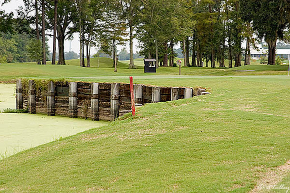 Atchafalaya #4