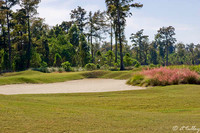 TPC Louisiana #1