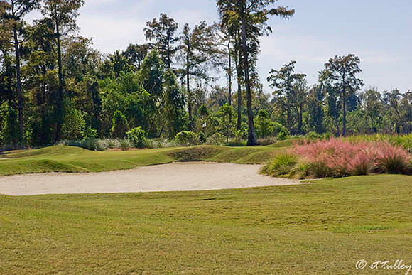 TPC Louisiana #1
