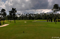 Gray Plantation #3