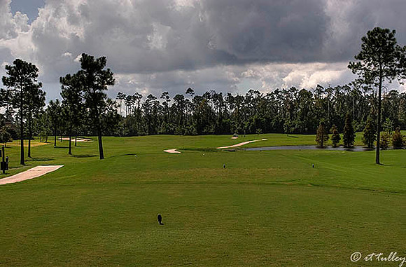 Gray Plantation #3