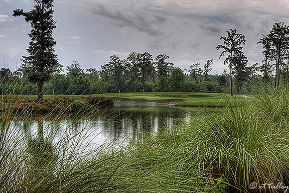 TPC Louisiana #17