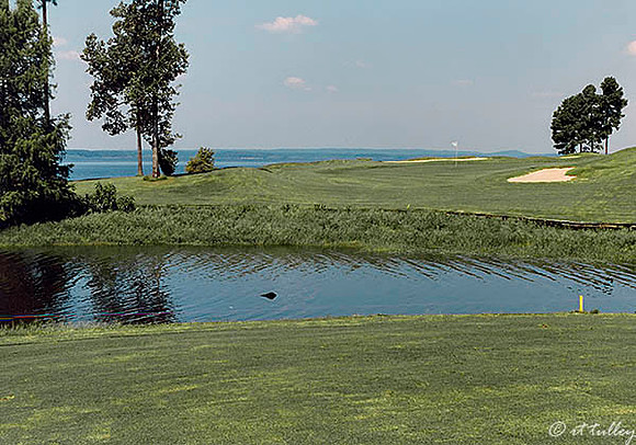Cypress Bend #17