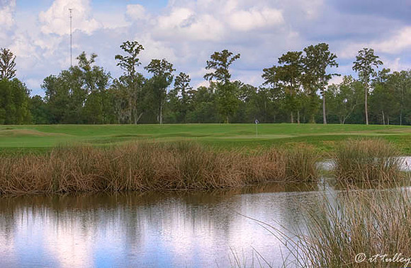 TPC Louisiana #18
