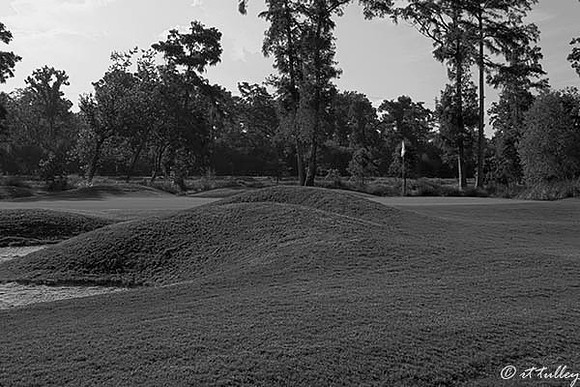 TPC Louisiana #2 B/W