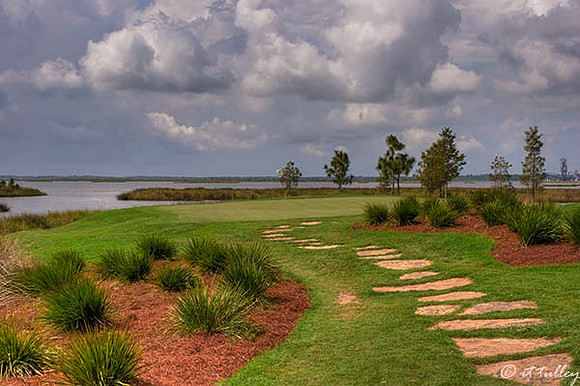 Gray Plantation #6 Gree