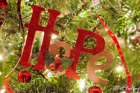 December 12