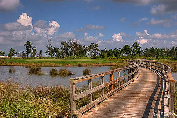 Gray Plantation #5