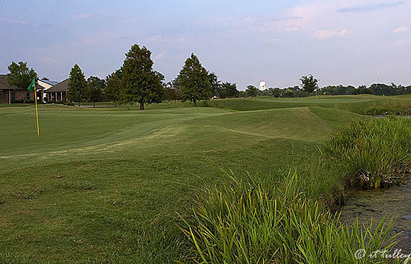 the Island #18