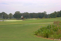 Atchafalaya #4
