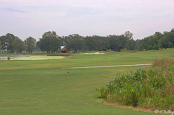Atchafalaya #4