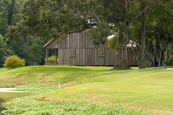 Atchafalaya Cajun Shack