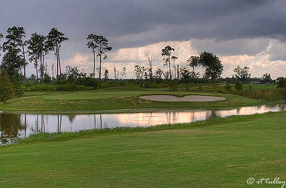 Gray Plantation #17