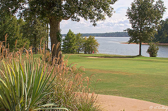Cypress Bend #17