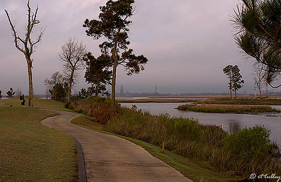 Gray Plantation #7