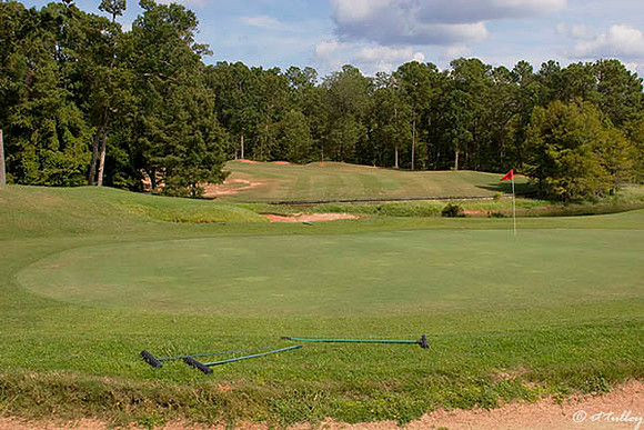 Cypress Bend #16
