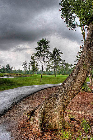 TPC Louisiana #16