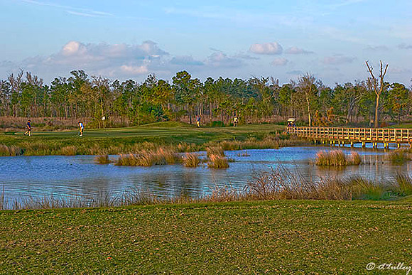 Gray Plantation #6