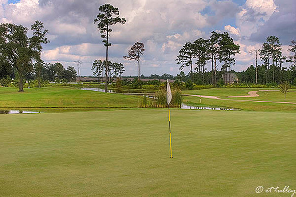 Gray Plantation #11