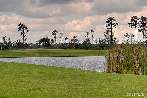 Gray Plantation #15