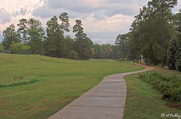 Cypress Bend #9