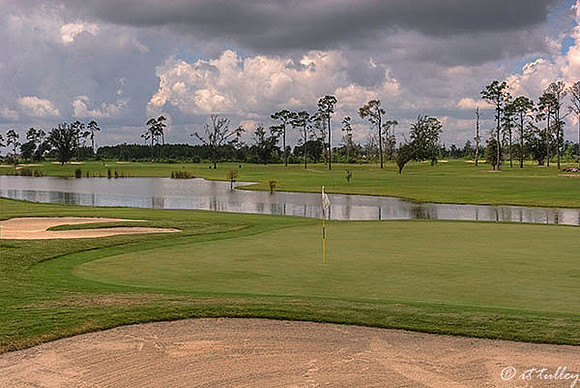 Gray Plantation #11