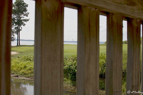 Cypress Bend #17