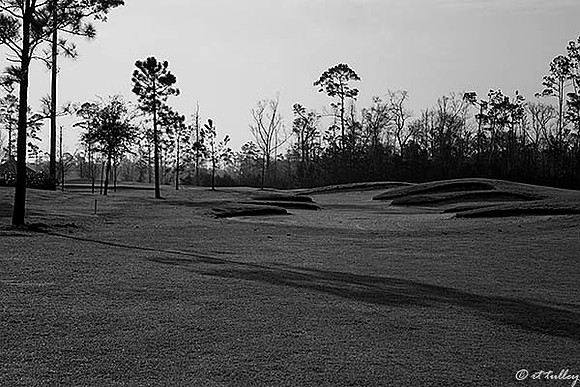 Gray Plantation #3 B/W