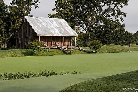 Atchafalaya Cajun Shack