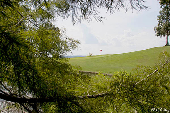 Cypress Bend #16