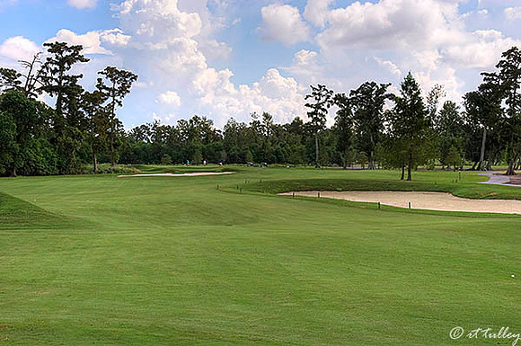 TPC Louisiana #7