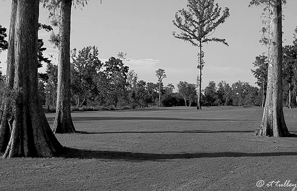 TPC Louisiana #1 B/W