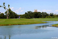 Audubon GC #2 Green