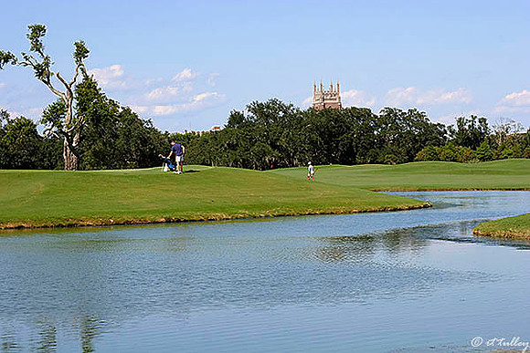 Audubon GC #2 Green