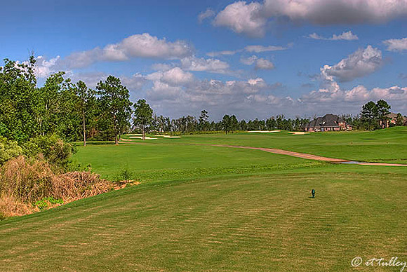 Gray Plantation #5