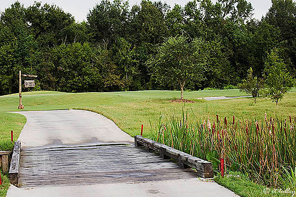 Atchafalaya #9 tee