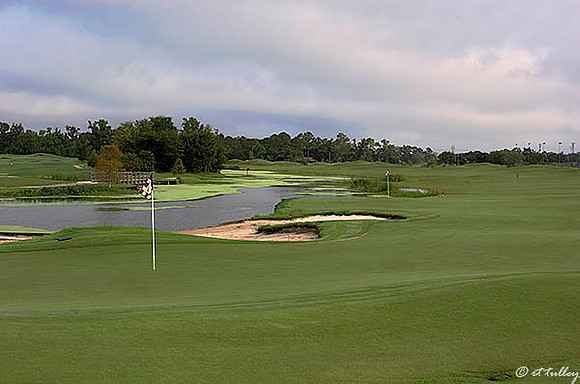 Atchafalaya #9, #18 greens