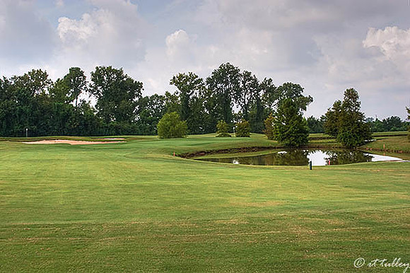 Oakwing GC #13