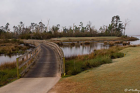 Gray Plantation #6