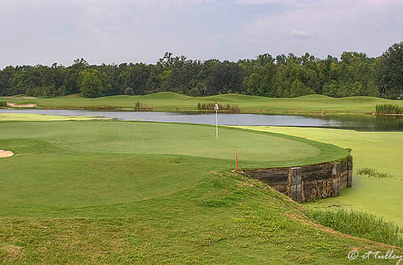 Atchafalaya #4