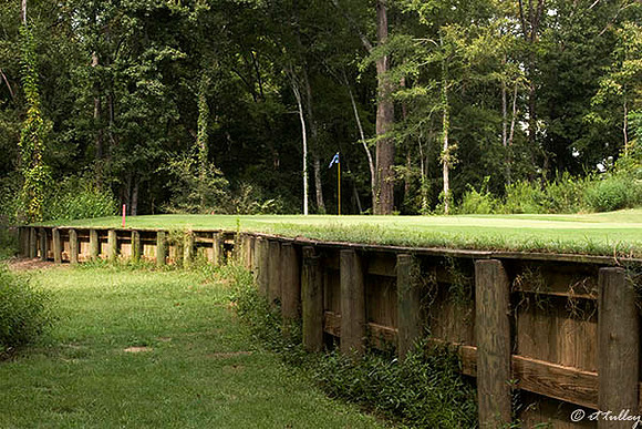 Black Bear GC #8 Bulkhead