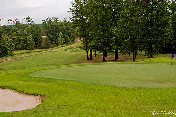 Cypress Bend #9